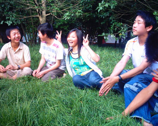 2006  (5)